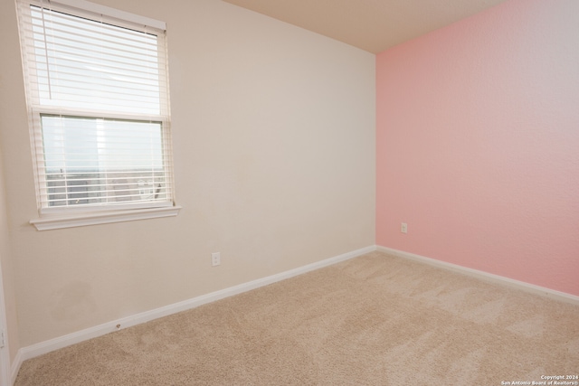 spare room with carpet floors