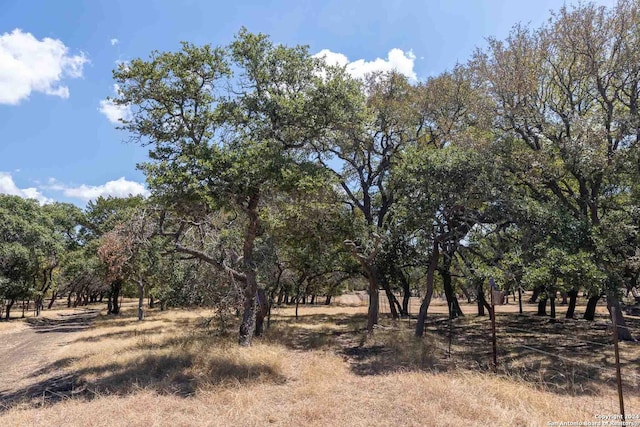 view of landscape featuring a rural view