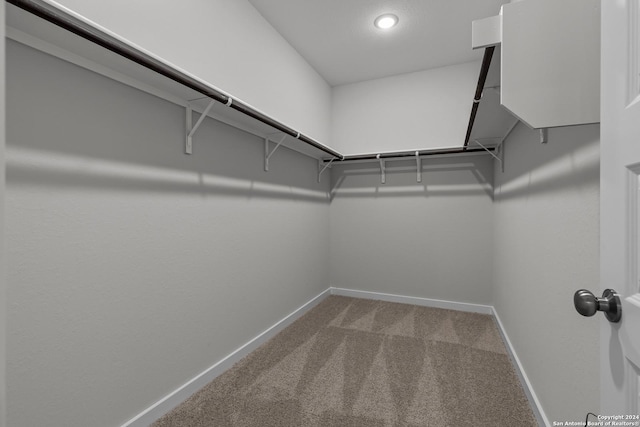 spacious closet with carpet