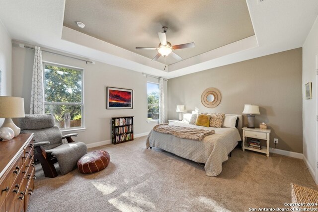 bedroom with light colored carpet, a raised ceiling, and ceiling fan