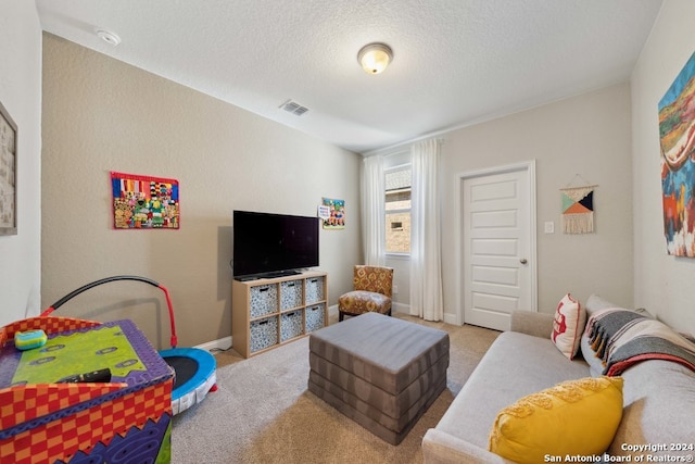 carpeted living room with a textured ceiling