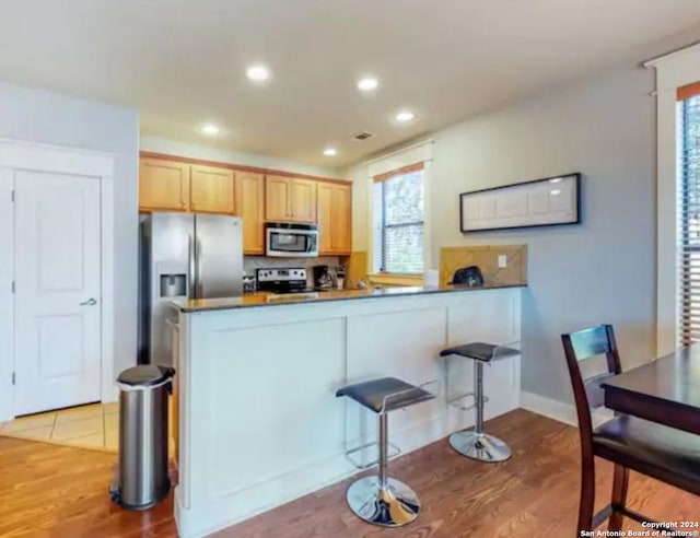 kitchen featuring kitchen peninsula, stainless steel appliances, a healthy amount of sunlight, and light hardwood / wood-style floors