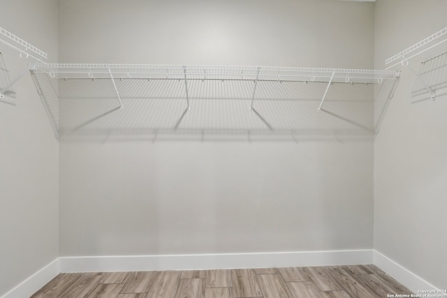 spacious closet featuring wood-type flooring