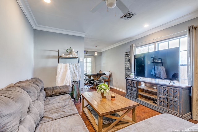 living room with hardwood / wood-style floors, ceiling fan, and crown molding