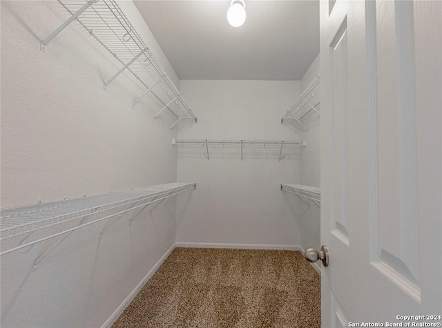 walk in closet featuring carpet flooring