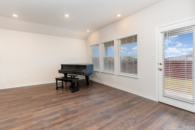 miscellaneous room with dark hardwood / wood-style flooring, vaulted ceiling, and a healthy amount of sunlight