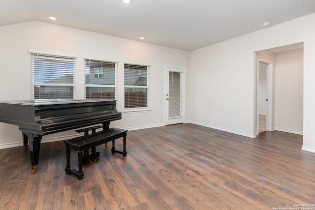 miscellaneous room featuring dark hardwood / wood-style flooring and lofted ceiling