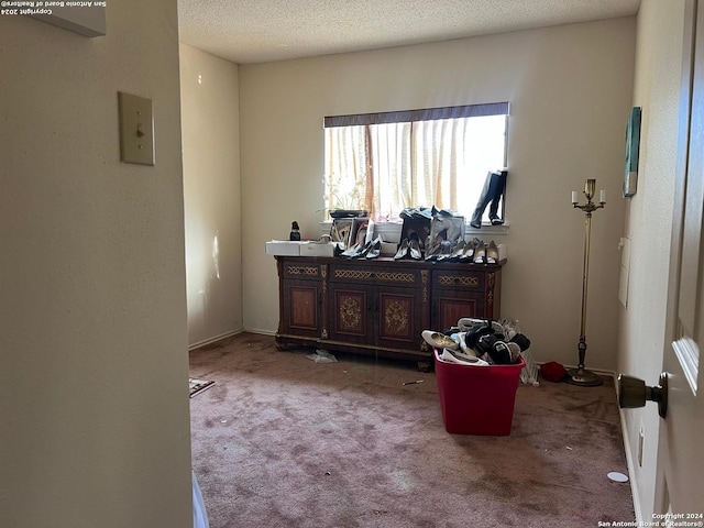 miscellaneous room featuring carpet floors and a textured ceiling