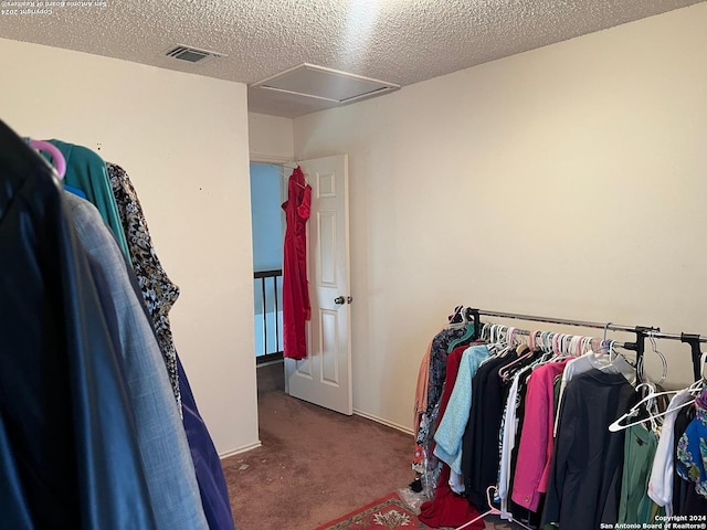 walk in closet with carpet floors