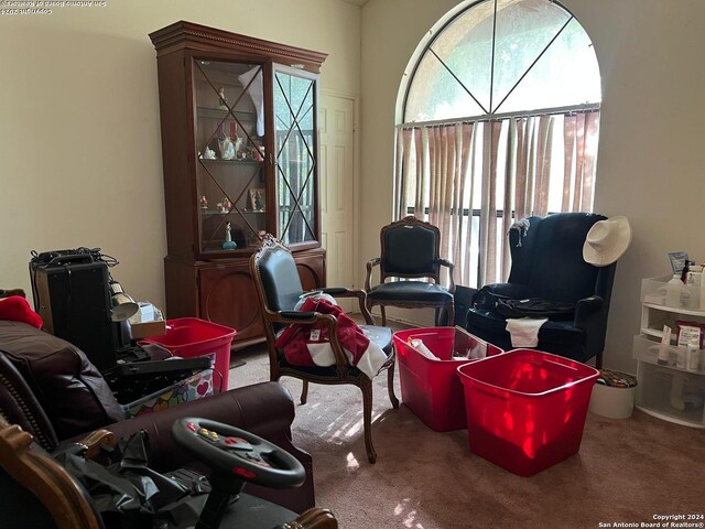 sitting room featuring carpet flooring