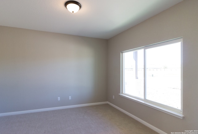 empty room featuring carpet floors and a wealth of natural light