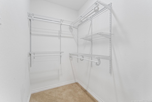 611 Kirk Pl, San Antonio, TX 78225 - spacious closet featuring light carpet