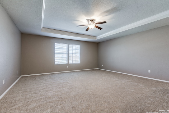 empty room with carpet flooring and a tray ceiling