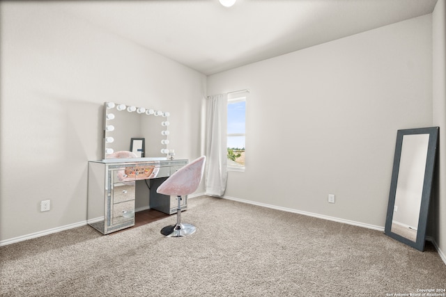 view of carpeted home office