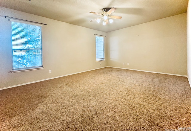 carpeted spare room with ceiling fan and plenty of natural light