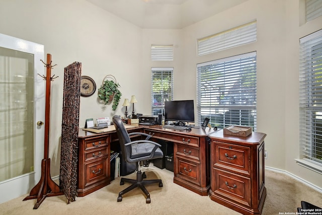 office featuring light colored carpet