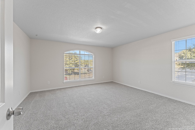 spare room featuring plenty of natural light, carpet floors, and a textured ceiling