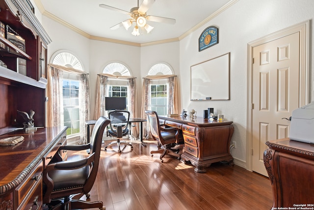 office area with dark hardwood / wood-style floors, ceiling fan, and crown molding