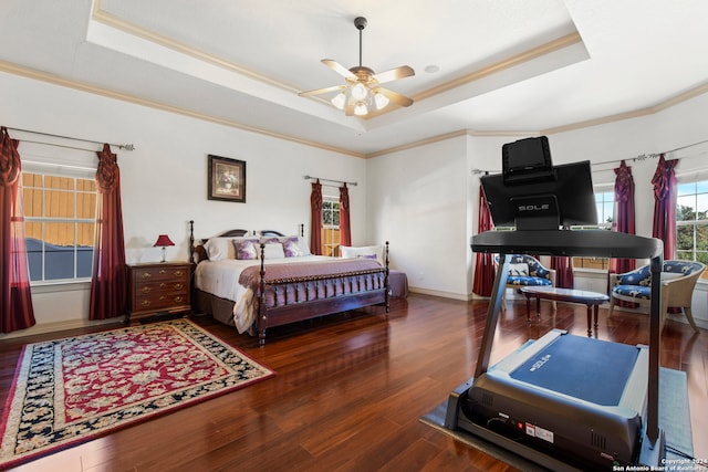 bedroom with a raised ceiling, ceiling fan, and dark hardwood / wood-style floors