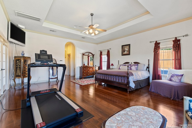 bedroom featuring a raised ceiling, multiple windows, and dark hardwood / wood-style flooring