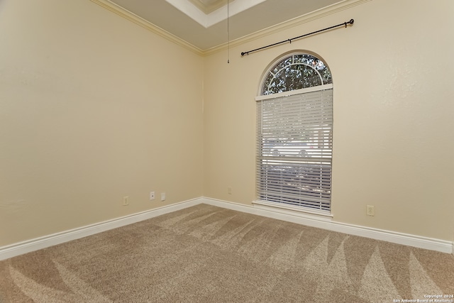 empty room with carpet, plenty of natural light, ornamental molding, and a towering ceiling