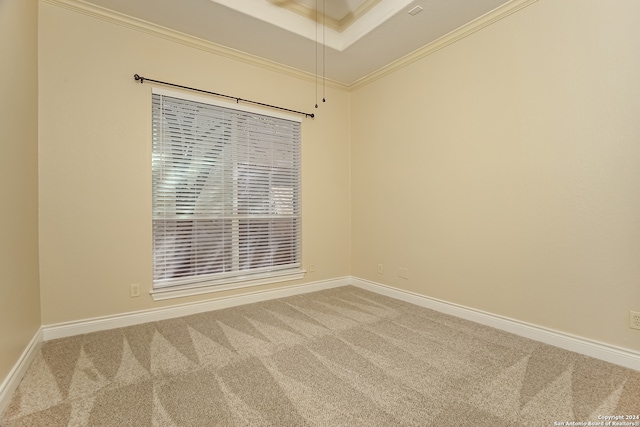 spare room featuring carpet and crown molding