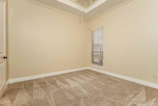 unfurnished room with carpet flooring, a raised ceiling, and ornamental molding