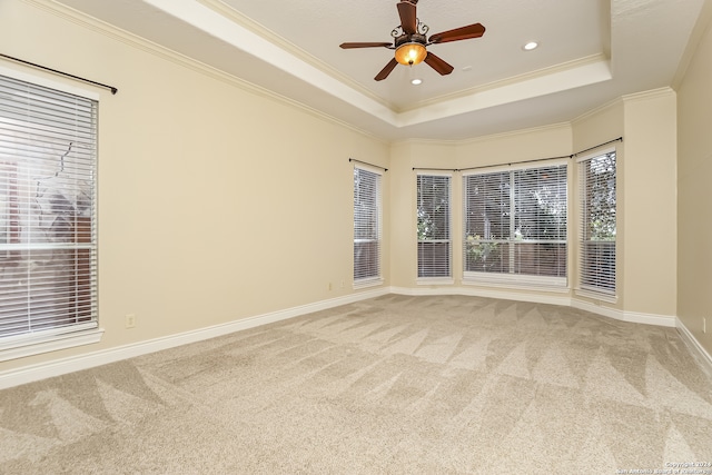 carpeted empty room featuring a raised ceiling, ceiling fan, and crown molding