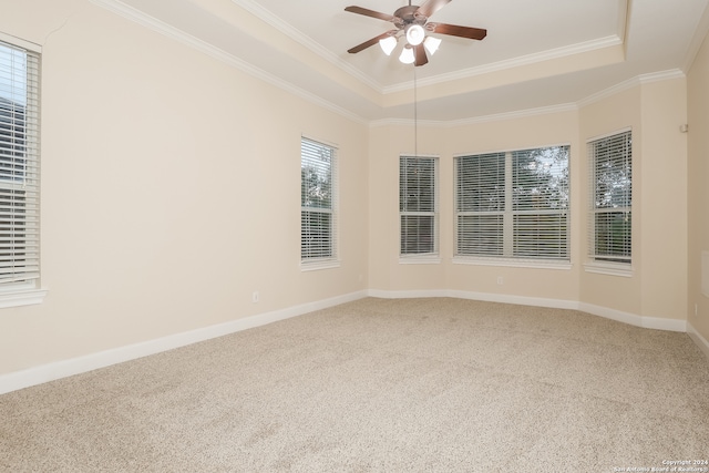 carpeted empty room featuring ornamental molding, a wealth of natural light, and a tray ceiling