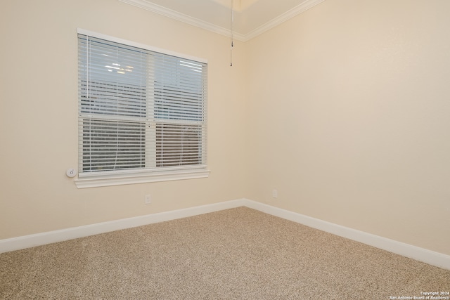 carpeted spare room featuring ornamental molding