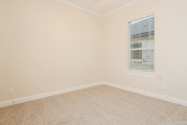 carpeted empty room featuring ornamental molding