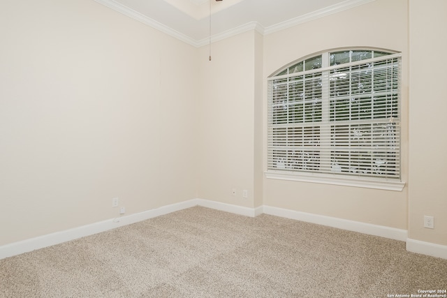 carpeted spare room featuring ornamental molding