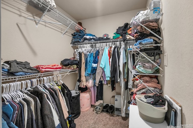 walk in closet featuring carpet floors