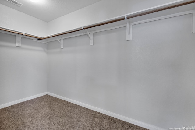 spacious closet featuring carpet floors