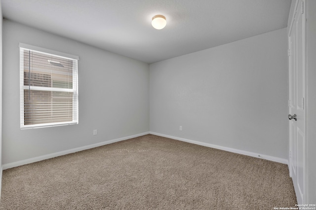 unfurnished room featuring carpet flooring and a wealth of natural light