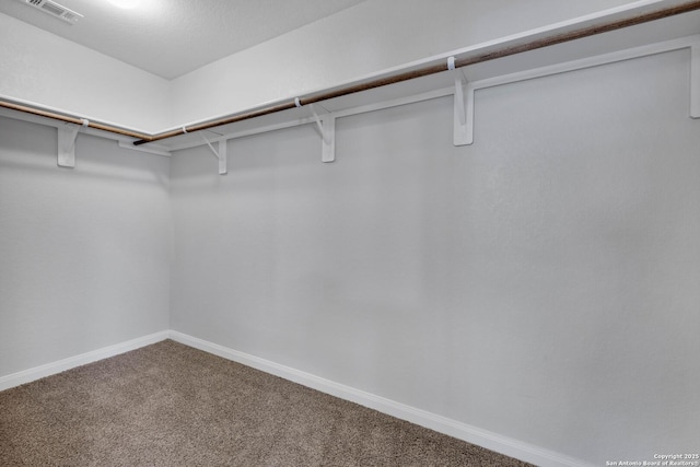 8559 Laxey Wheel, San Antonio, TX 78254 - spacious closet featuring carpet flooring