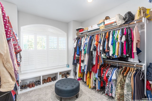 walk in closet featuring carpet floors