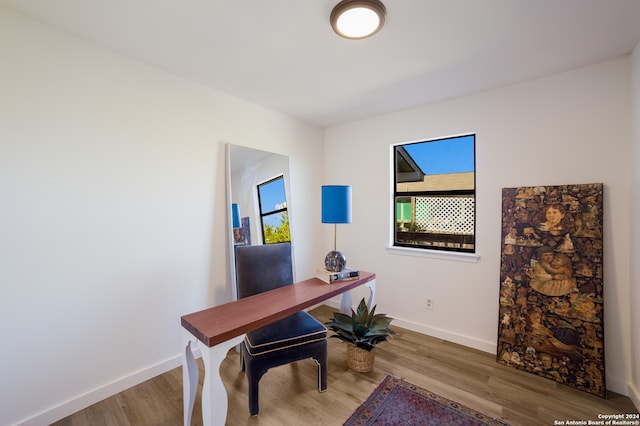 home office featuring hardwood / wood-style floors and a wealth of natural light