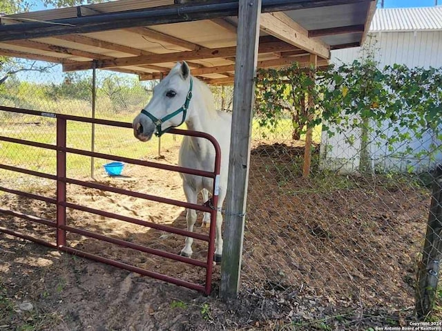 view of horse barn