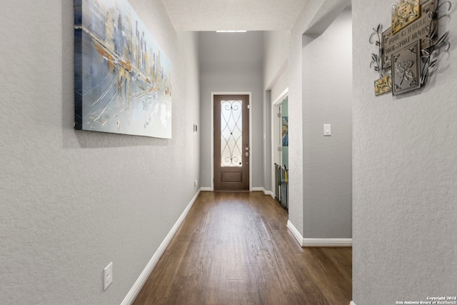 doorway featuring wood-type flooring and radiator heating unit