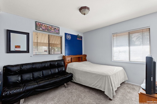 bedroom featuring carpet flooring