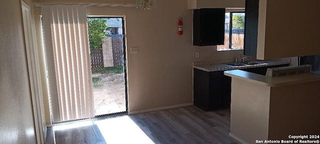 kitchen with light hardwood / wood-style flooring, a wealth of natural light, and sink