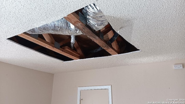 interior details with a textured ceiling