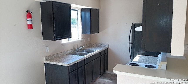 kitchen featuring black refrigerator, dark wood-type flooring, and sink