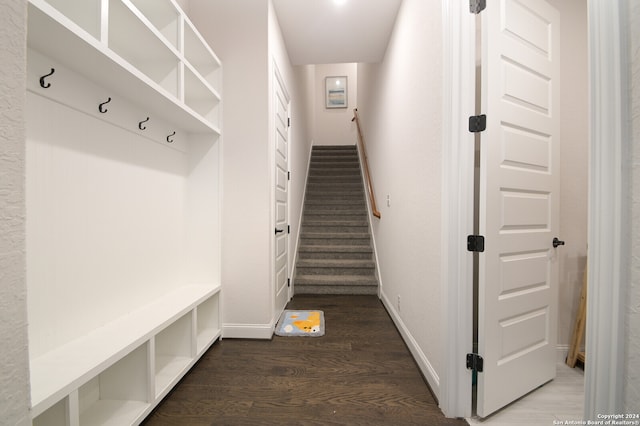 mudroom featuring dark wood-type flooring