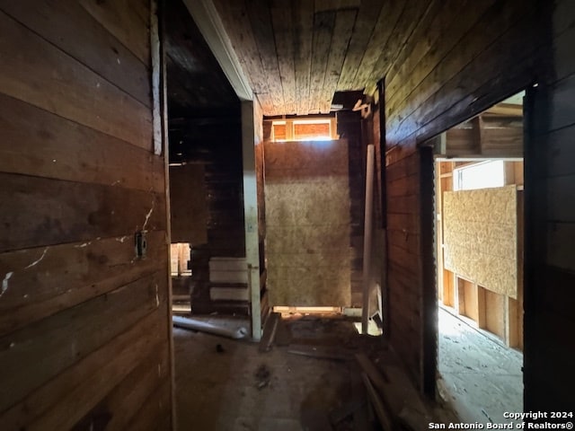 hall with a healthy amount of sunlight and wooden walls