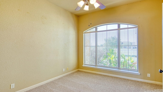 spare room with ceiling fan, plenty of natural light, and carpet floors