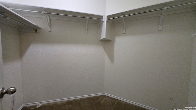 spacious closet with carpet