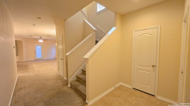 staircase with carpet flooring