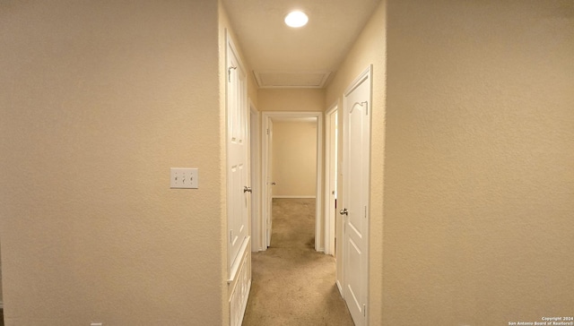 9019 Mimosa Mnr, San Antonio, TX 78245 - hall featuring a textured wall, light carpet, and attic access